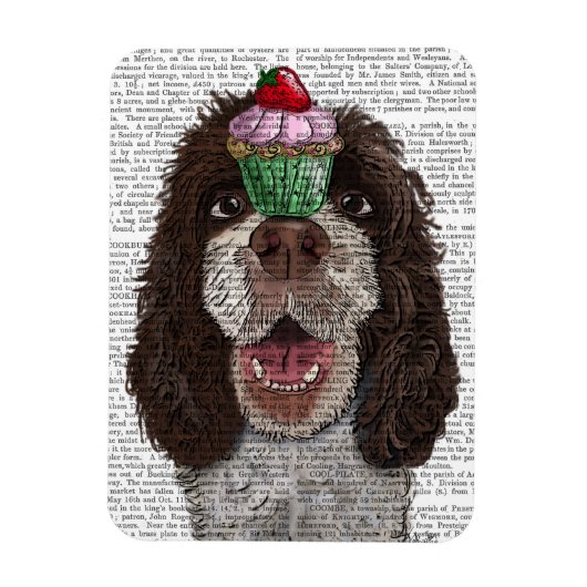 Springer Spaniel met Cupcake Magneet (Verticaal)