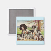 springer spaniel moeder en puppies magneet (Voorkant / Achterkant)