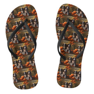 Springer Spaniel Puppy Herfst Plezier Pompoen Teenslippers