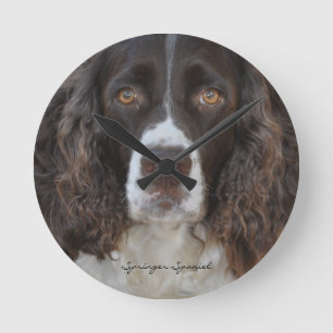 Springer Spaniel Round Wall klok