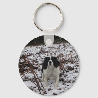 Springer Spaniel, toetsenbord Sleutelhanger