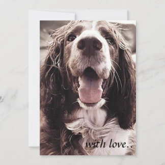 Springer spaniel-vergroentingskaart. bedankkaart