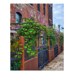 Springfield Missouri Street Foto Afdruk