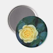 Springfoto's 017 magneet (Voorkant / Achterkant)