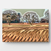 SPRINGGEBIEDEN FOTOPLAAT (voorkant)