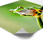 springkikker poster (Hoek)