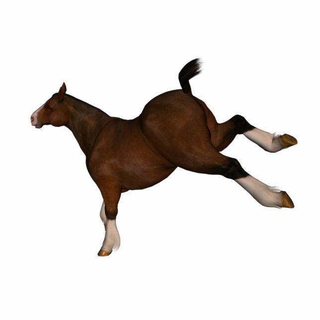 springpaard staand fotobeeldje  (Voorkant)