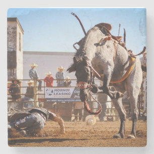 springpaard stenen onderzetter