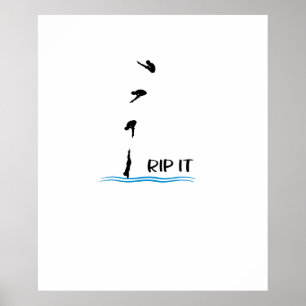 Springplankduiking Poster