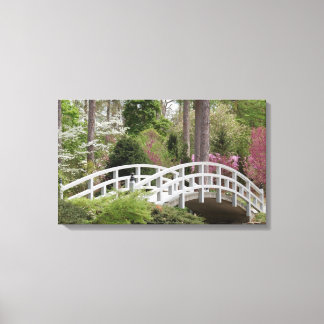 Spring's Bridge Canvas Afdruk