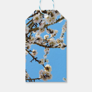 Spring's Embrace: witte bloemen tegen blauwe lucht Cadeaulabel
