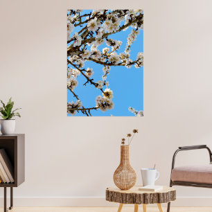 Spring's Embrace: witte bloemen tegen blauwe lucht Poster
