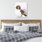 Springspaniel Canvas Afdruk (Insitu (Slaapkamer))