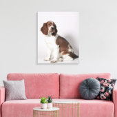 Springspaniel Canvas Afdruk (Insitu (Woonkamer))