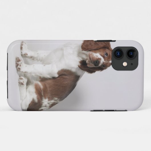 Springspaniel Case-Mate iPhone Case (Achterkant (horizontaal))