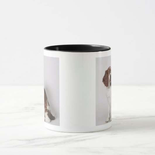 Springspaniel Mok (Midden)