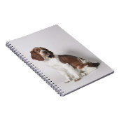 Springspaniel Notitieboek (Rechterzijde)