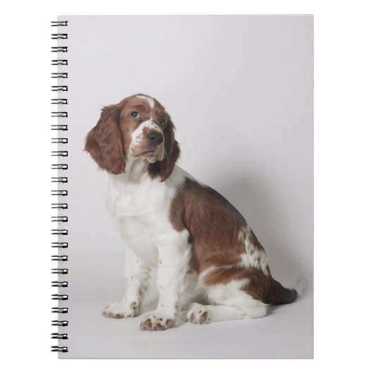 Springspaniel Notitieboek (Voorkant)