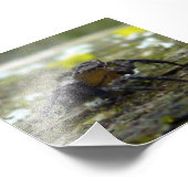 springspin foto afdruk (Hoek)