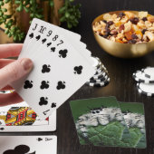 Springspin Metaphid Speelkaarten (Insitu)