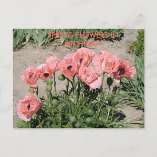 SPRINGSTROMEN IN DE MICHIGAANSE POSTKAART