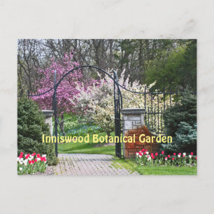 "SPRINGTIJD BIJ INNISWOOD" (WESTERVILLE, OHIO) BRIEFKAART