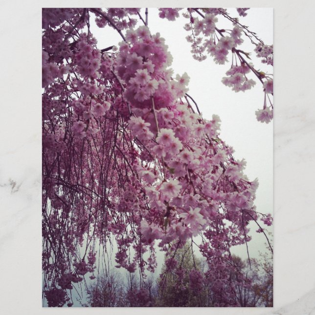 Springtime (Voorkant)