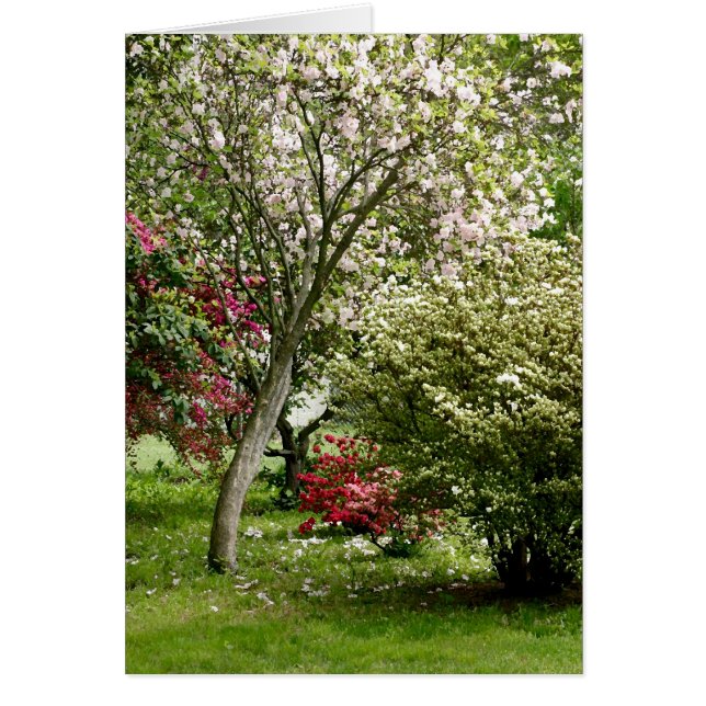 Springtime (Voorkant)