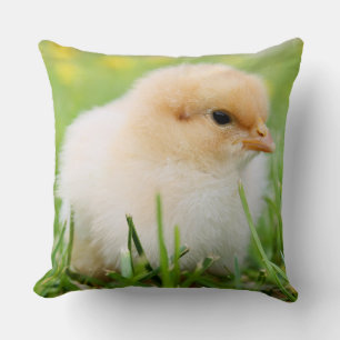 Springtime Baby Chick Kussen