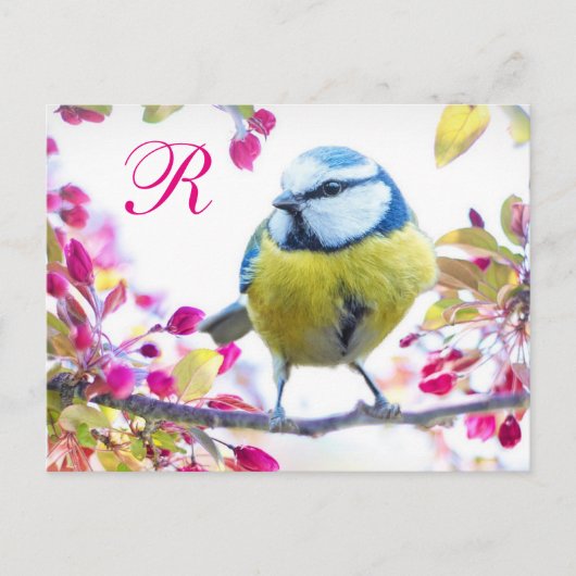 Springtime Bird Monogram Briefkaart (Voorkant)