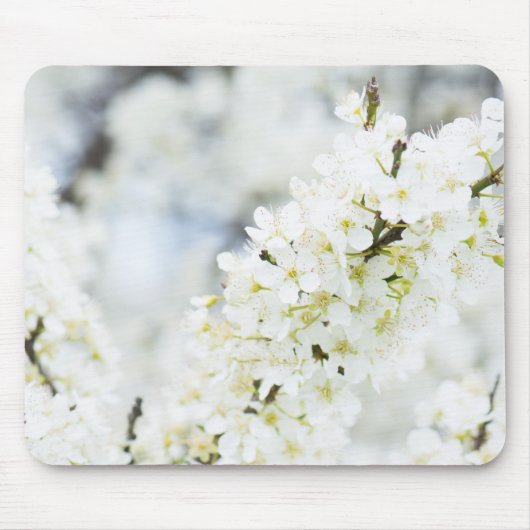 Springtime-bloei Muismat (Voorkant)