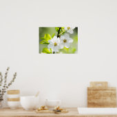 Springtime-bloei Poster (Keuken)
