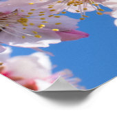 Springtime bloeit poster (Hoek)