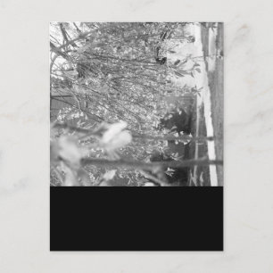 Springtime Briefkaart