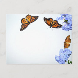 Springtime-Butterflies Briefkaart