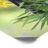 Springtime-chickadee-poster Poster (Hoek)