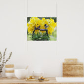Springtime-chickadee-poster Poster (Keuken)
