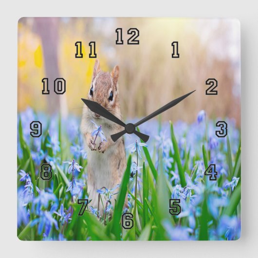 Springtime-chipmunk Vierkante Klok (Voorkant)