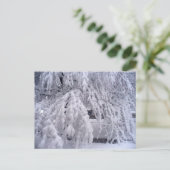 Springtime dans la carte postale du Wisconsin (Debout devant)