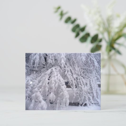 Springtime dans la carte postale du Wisconsin (Debout devant)