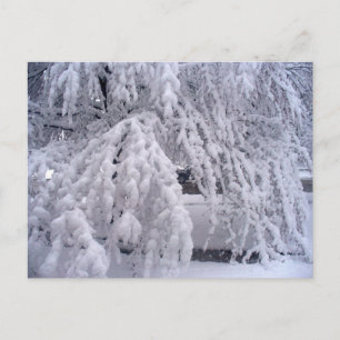 Springtime dans la carte postale du Wisconsin