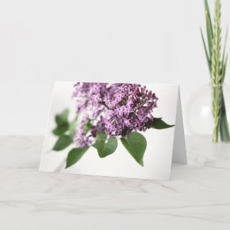 Springtime-fragrance Beauty L Kaart