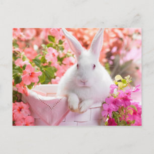 Springtime Hare Briefkaart
