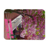 Springtime in Boston, MA Magneet (Horizontaal)