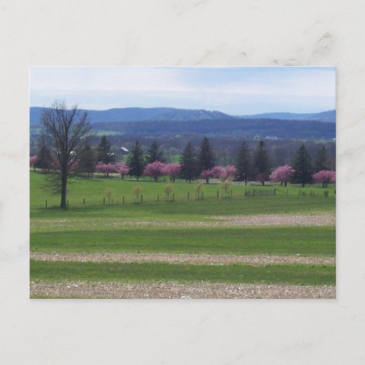 Springtime in Gettysburg Briefkaart (Voorkant)