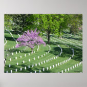 Springtime in het nationaal kerkhof van Arlington Poster (Voorkant)