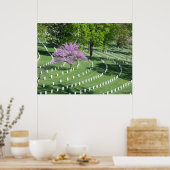 Springtime in het nationaal kerkhof van Arlington Poster (Keuken)