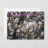 Springtime in Michigan Briefkaart (Voorkant / Achterkant)