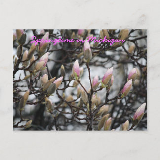 Springtime in Michigan Briefkaart
