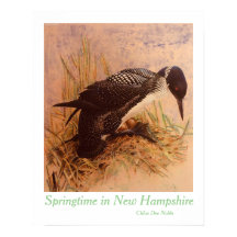 Springtime in New Hampshire door Chloe Dee Noble